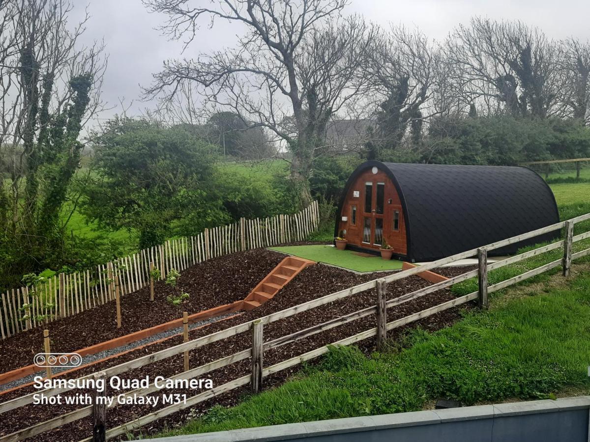 Апартаменты Ivy Hill Glamping Pod Эннис Экстерьер фото
