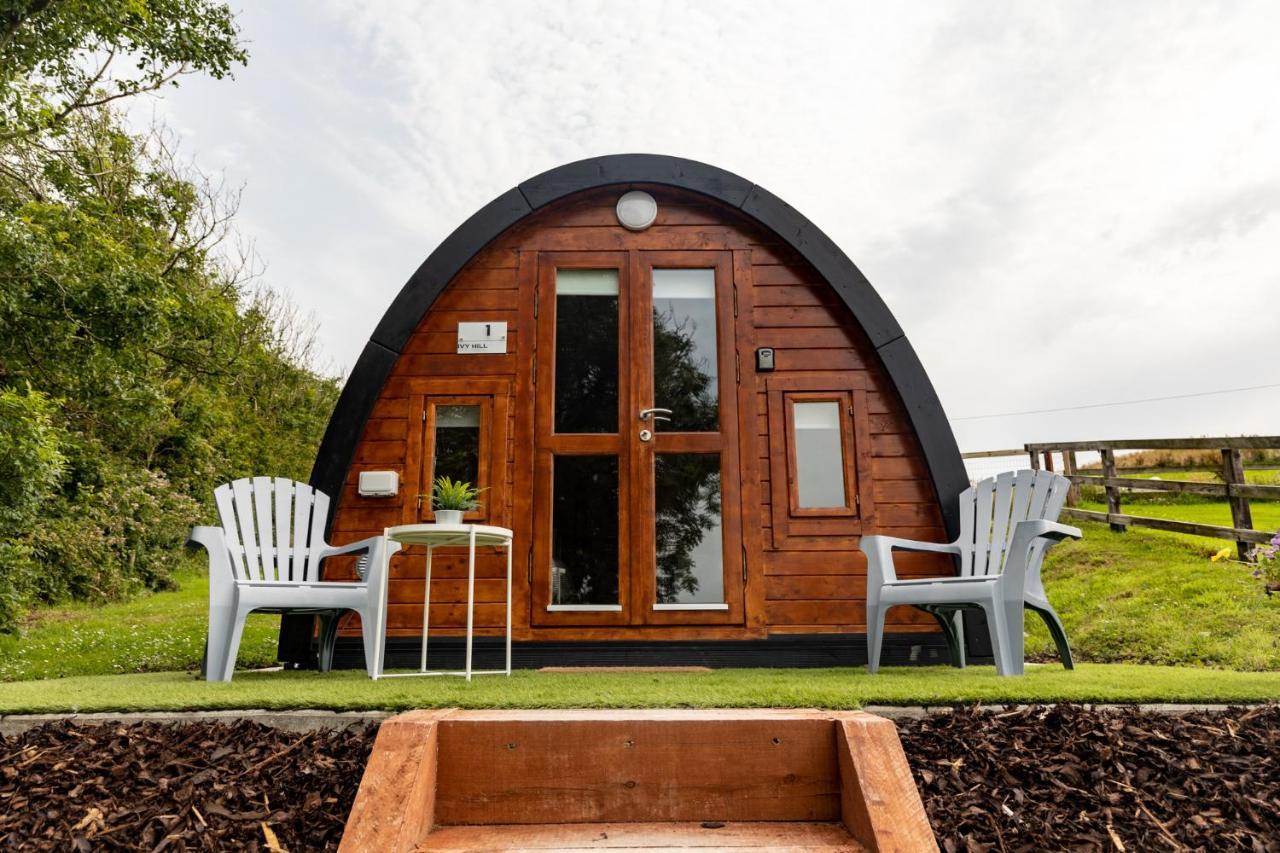 Апартаменты Ivy Hill Glamping Pod Эннис Экстерьер фото